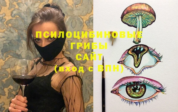 jwh Пересвет