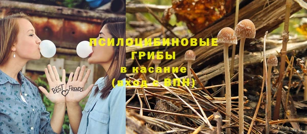 трава Пестово