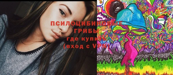 jwh Пересвет