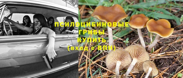 трава Пестово