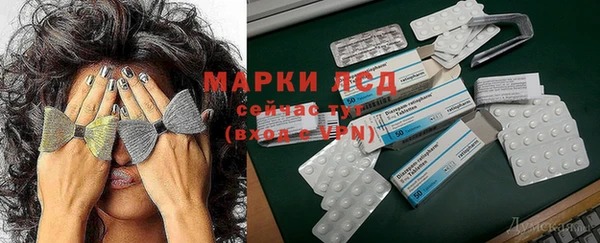 jwh Пересвет