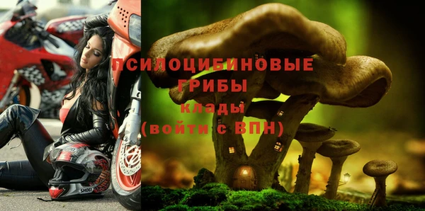 не бодяженный Переславль-Залесский