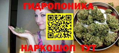 a pvp Балашиха