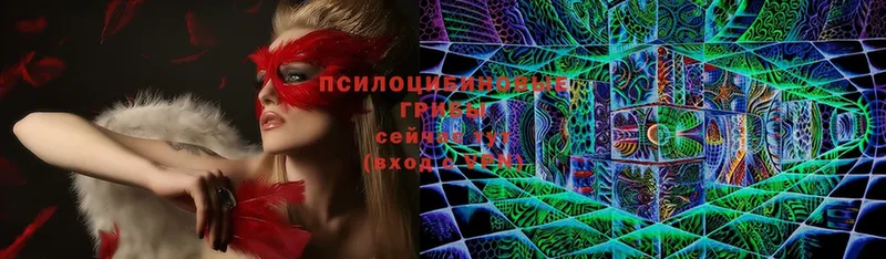 Псилоцибиновые грибы MAGIC MUSHROOMS  мориарти какой сайт  Электрогорск 