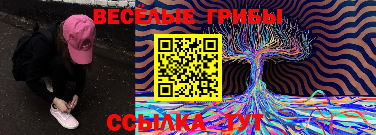 Галлюциногенные грибы Cubensis  Электрогорск  Галлюциногенные грибы прущие грибы 